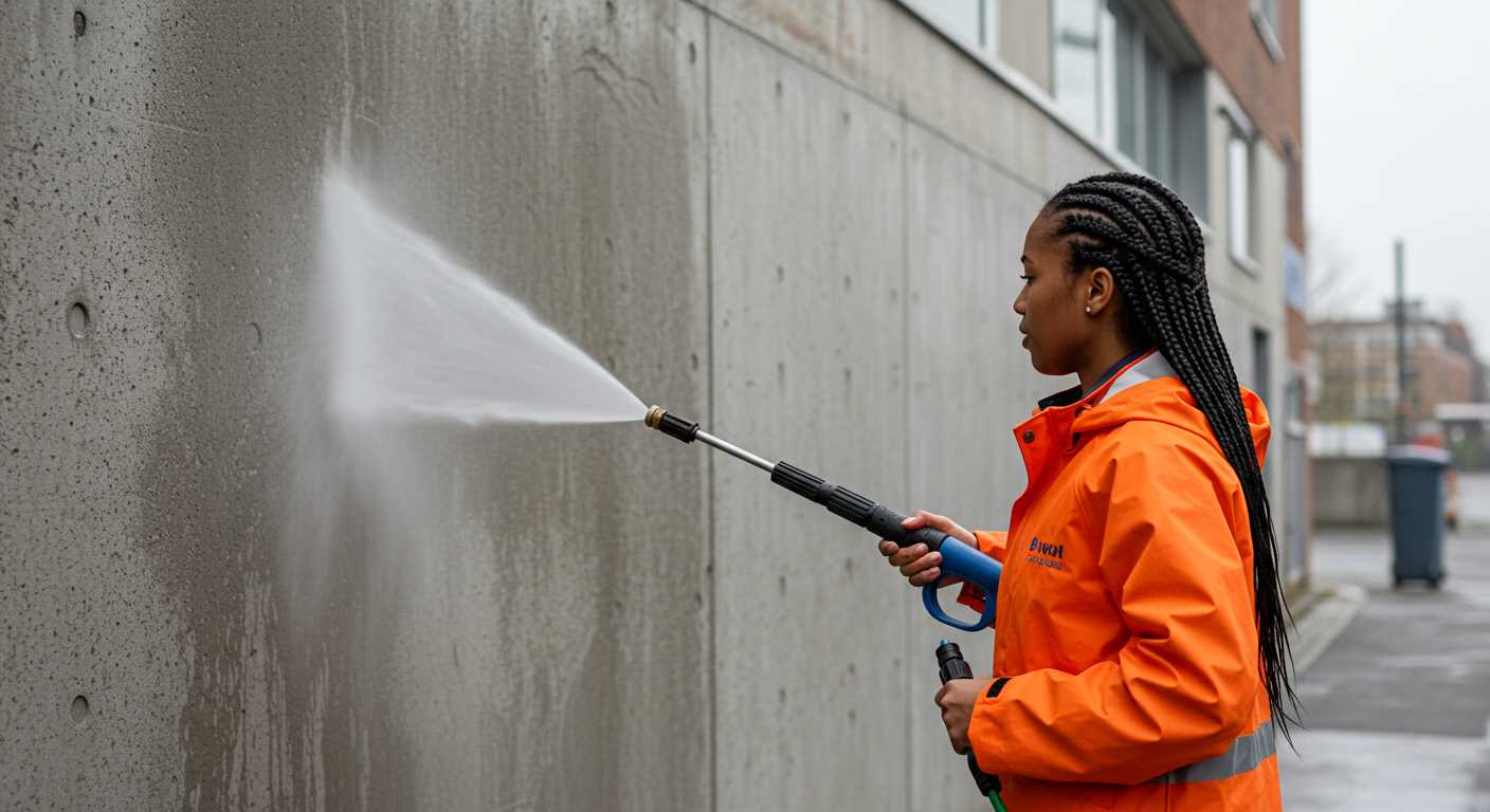 Can i use bleach in my karcher pressure washer
