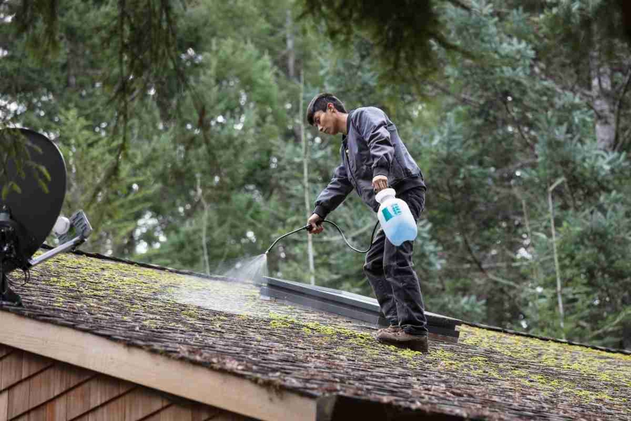 Roof Moss Removal Techniques Pressure Washers in UK