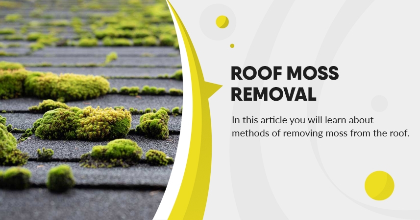 Roof Moss Removal Techniques