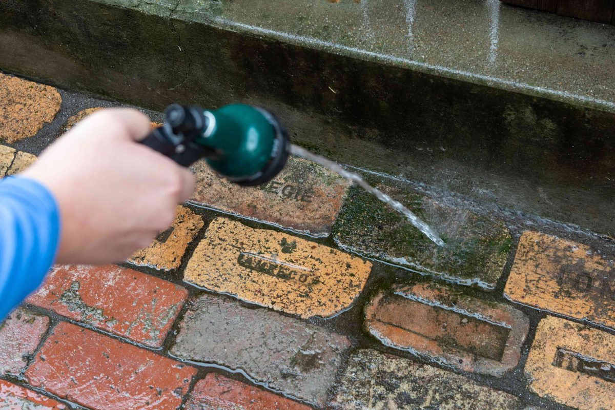 Cleaning stone slabs