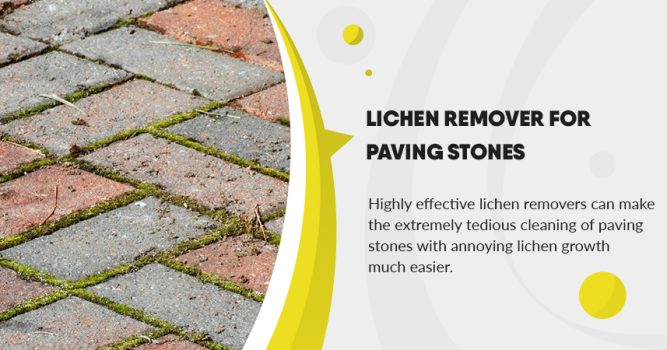 Lichen remover for paving stones