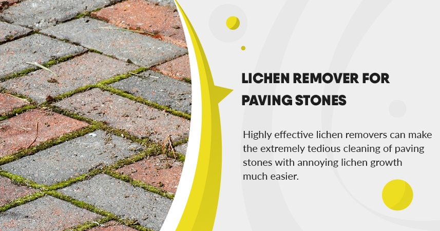 Lichen remover for paving stones
