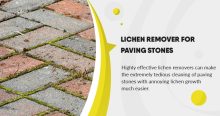 Lichen remover for paving stones: important information and tips