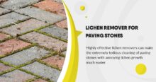 Lichen remover for paving stones: important information and tips