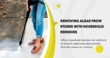 Removing algae from stones with household remedies